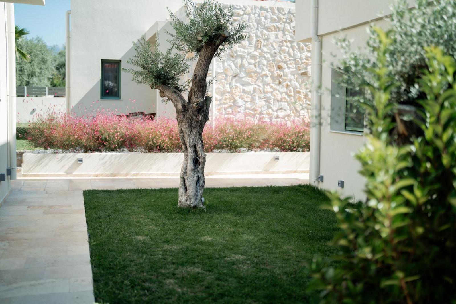 Magnolia Villas Potos Thassos المظهر الخارجي الصورة